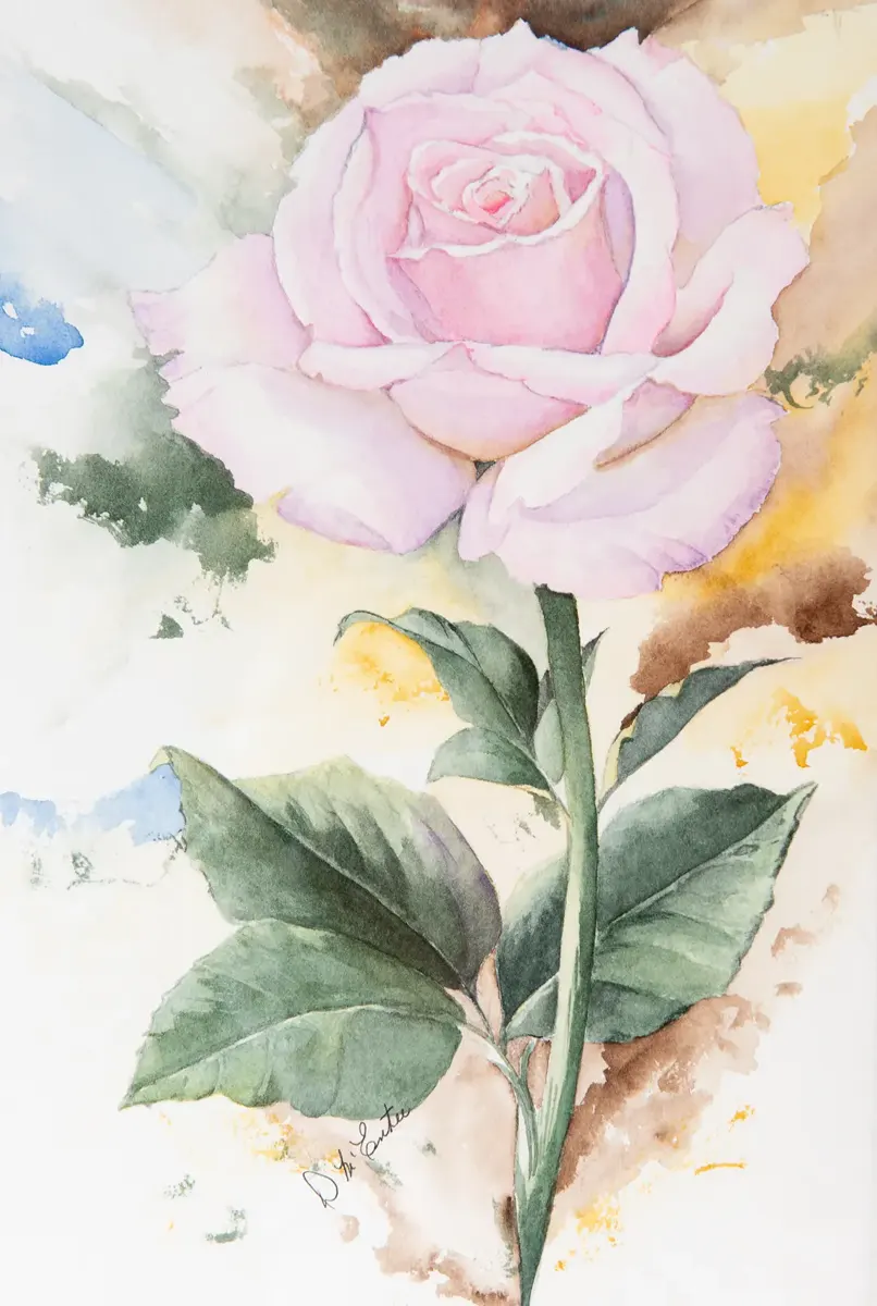 Perfect Bloom Watercolour By Diane McEntee Perfect Bloom Watercolour By Diane McEntee